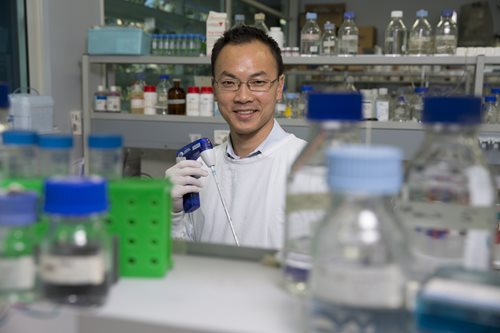 Heart researcher Dr James Chong from The Westmead Institute