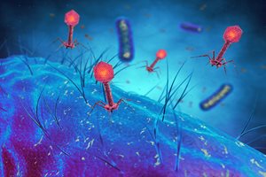 Bacteriophage viruses infecting bacterial cells